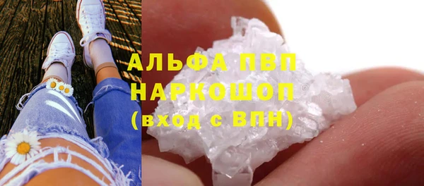 apvp Белокуриха
