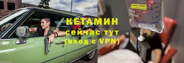 сатива Богданович